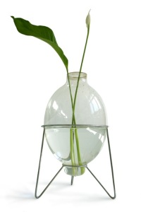 Photo Bulb Vase